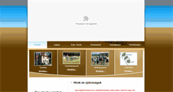 Desktop Screenshot of kisinoc.hu